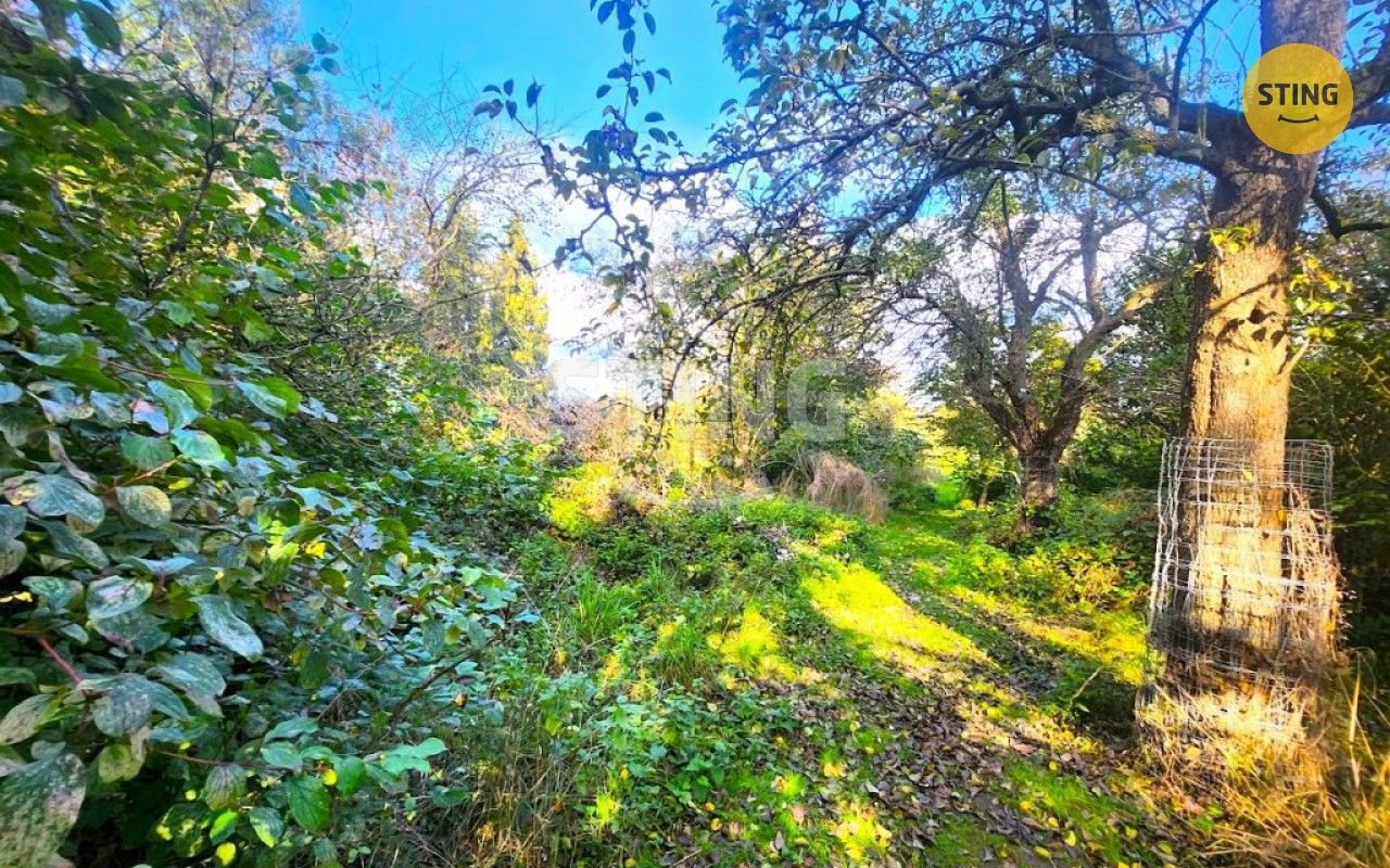 Prodej zahrada - Osek nad Bečvou, 2 697 m²