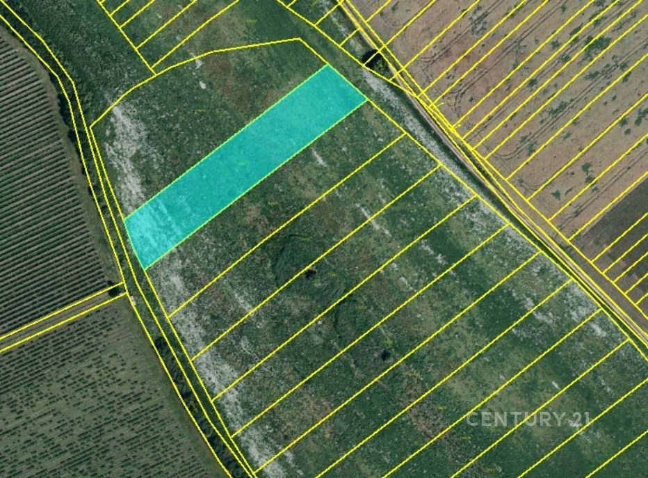 Prodej zemědělský pozemek - Hrušky