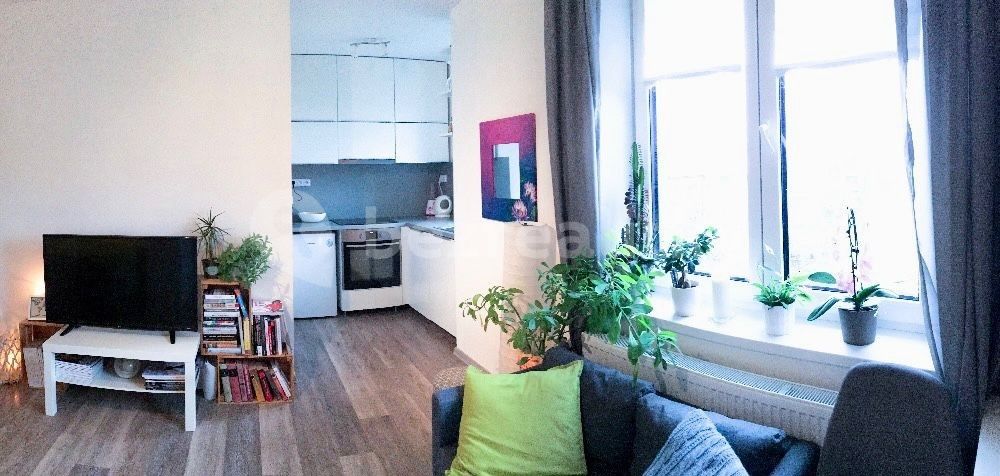 1+kk, Kašparova, Pardubice - Pardubice, Pardubický kraj, 28 m²