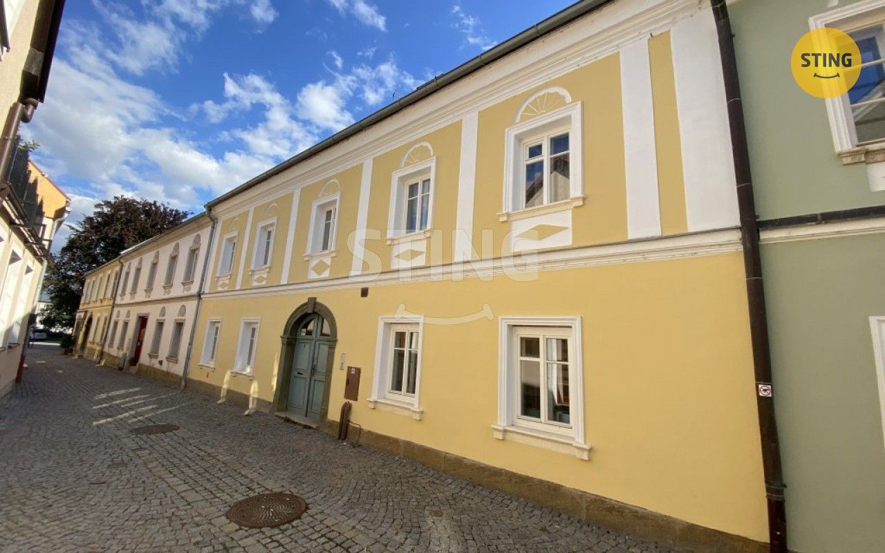 Ostatní, Zámečnická, Mohelnice, 360 m²