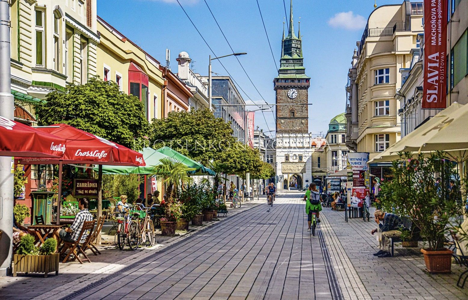 Prodej komerční pozemek - Pardubice - Svítkov - 5