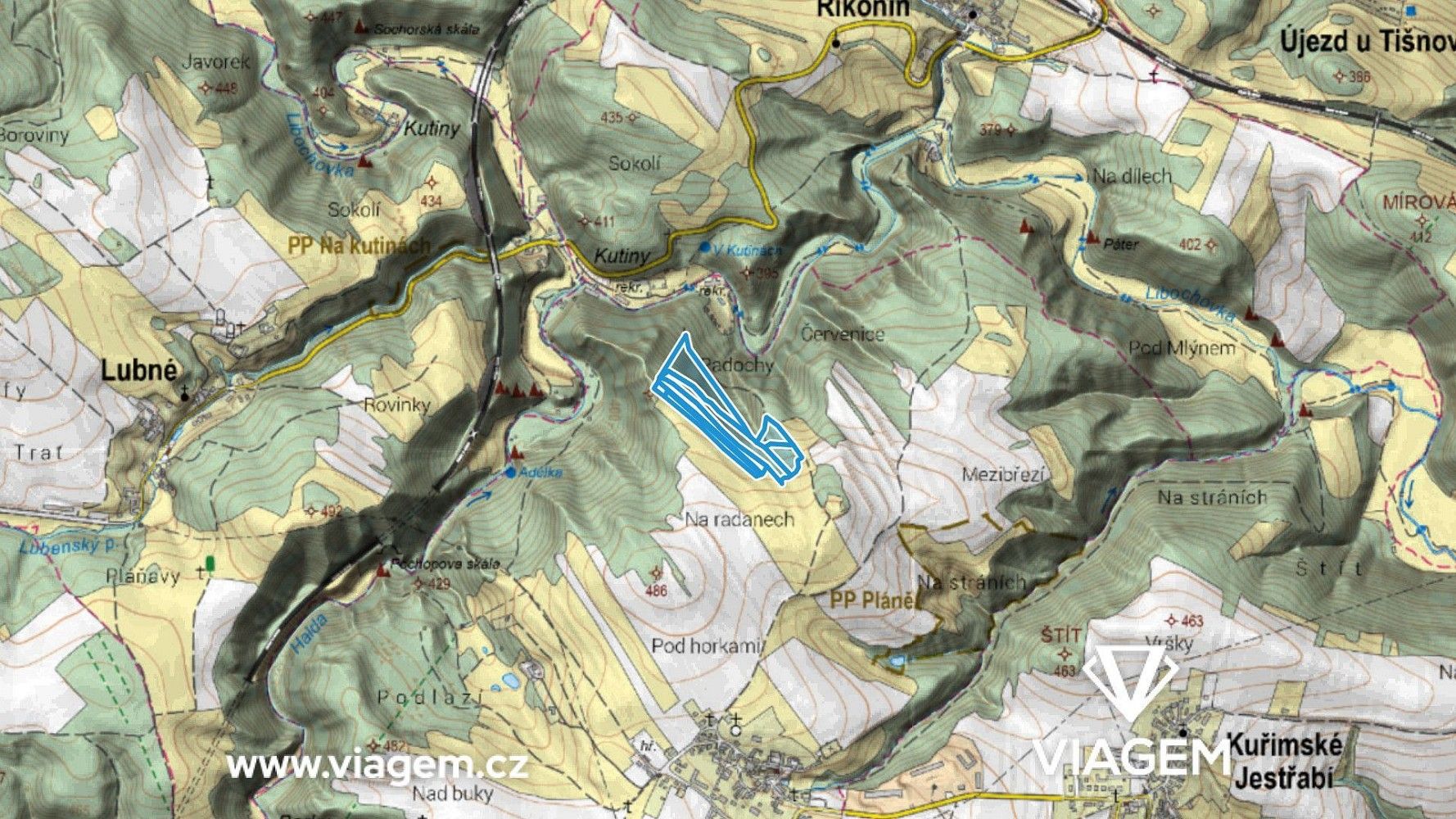 Les · Kuřimská Nová Ves, okres Brno-venkov, Jihomoravský kraj - 3