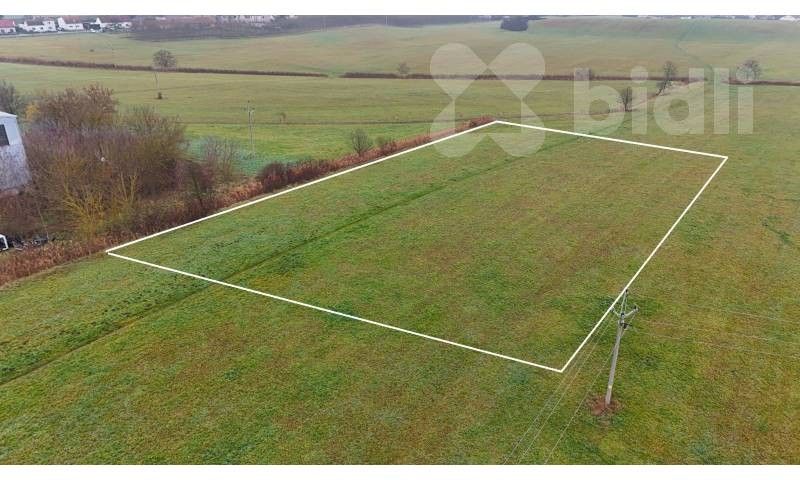 Louky, Podlesí, Holice