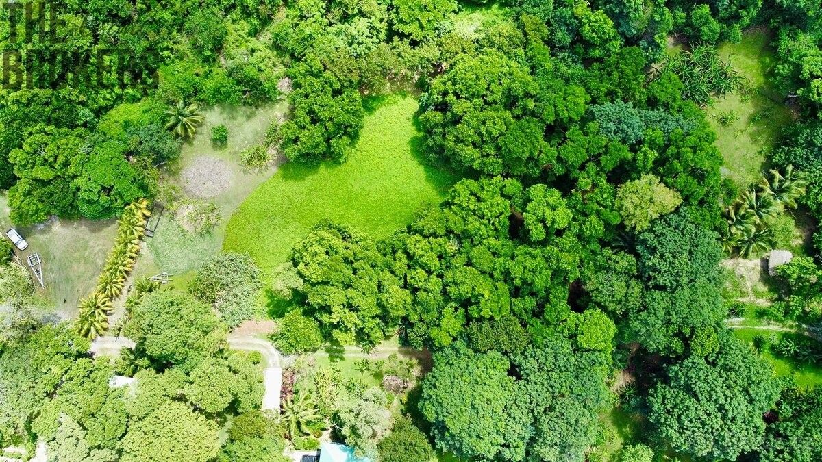 Prodej pozemek pro bydlení - 987 66, Zahraničí