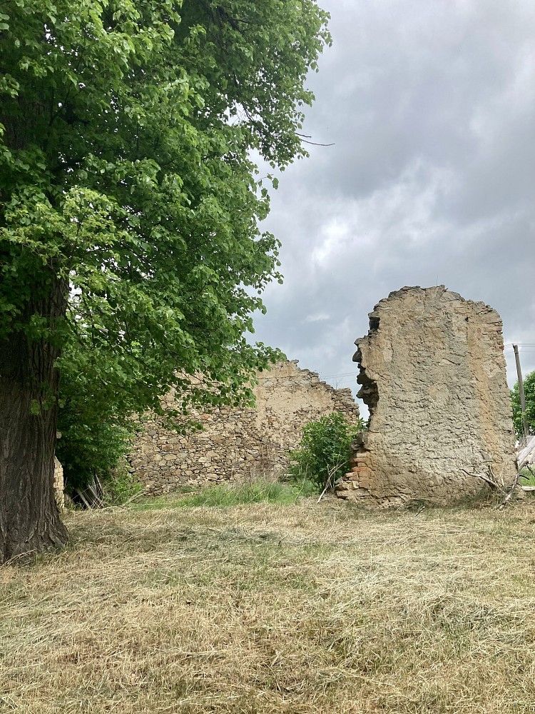 Prodej pozemek pro bydlení - Bačice - Udeřice, okres Třebíč - 5
