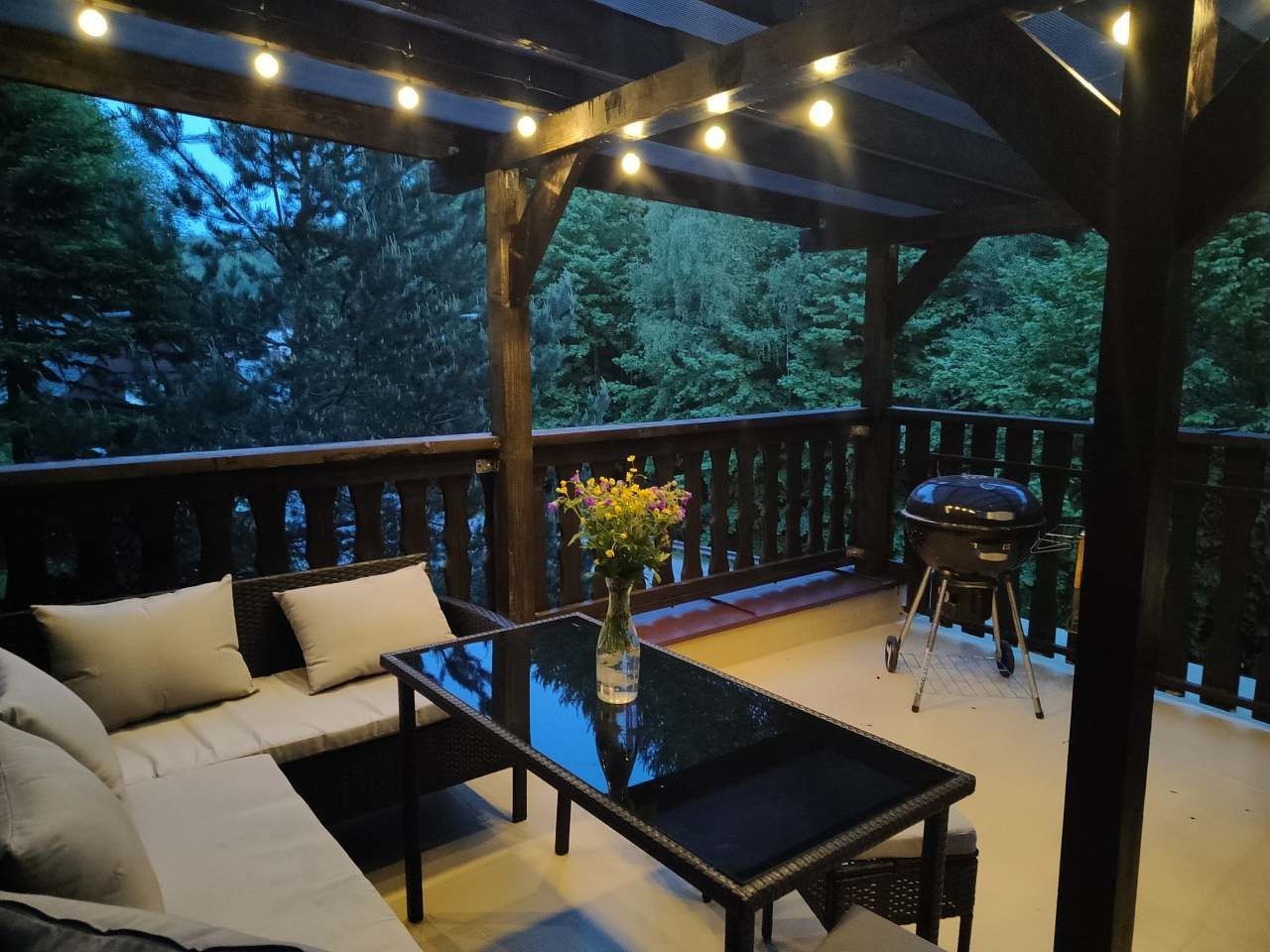 Chaty, Rokytnice nad Jizerou - Dolní Rokytnice, Liberecký kraj - 2