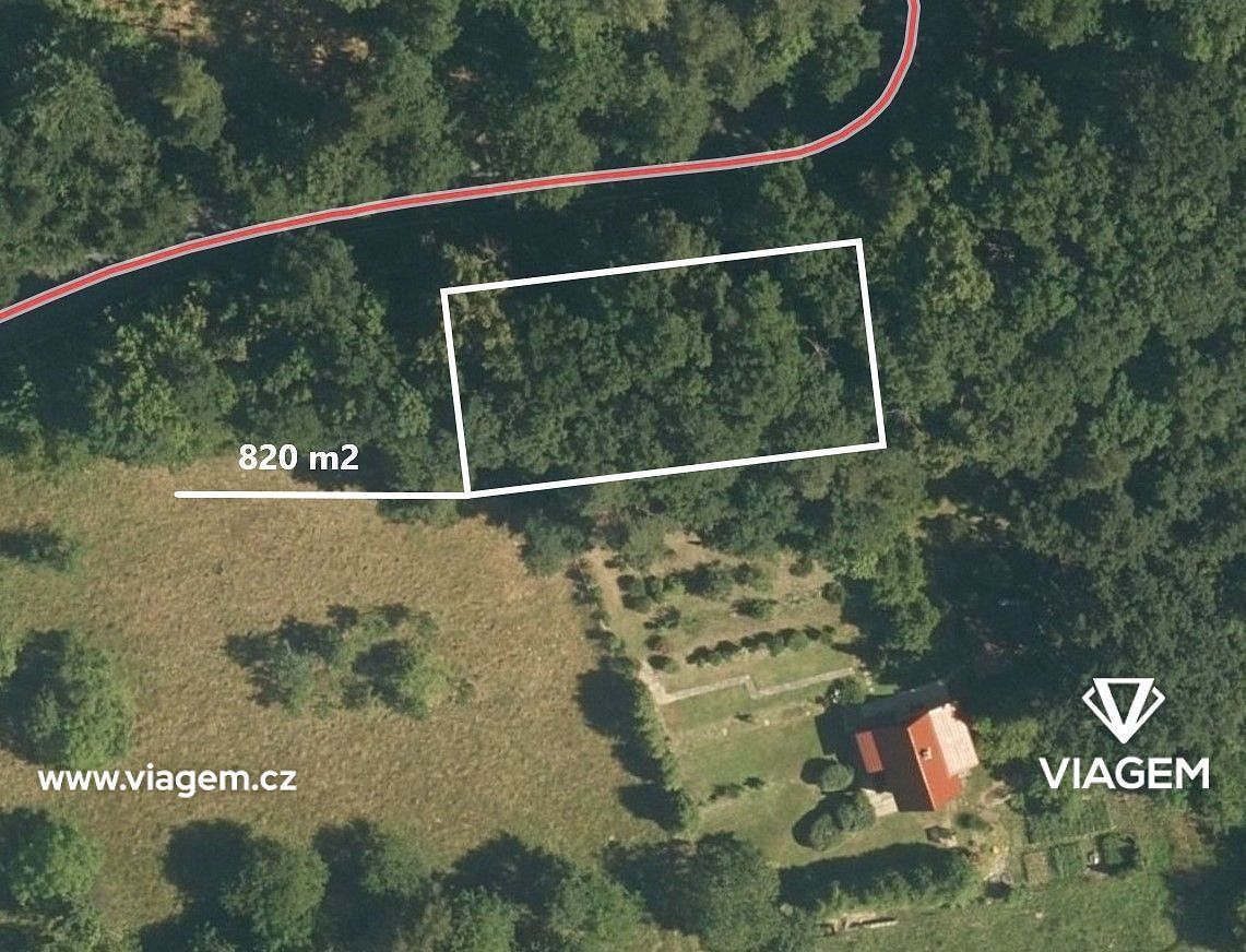 Les · Milenov, okres Přerov, Olomoucký kraj - 3