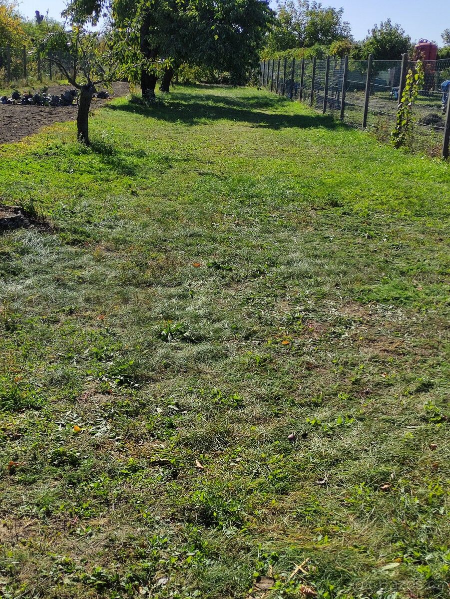 Zahrady, Břeclav, 690 06 - 1