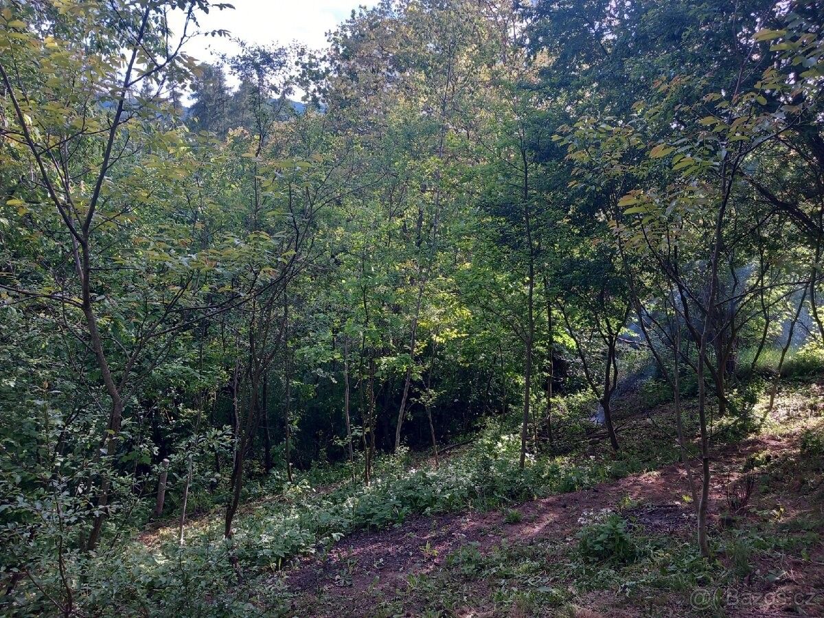 Prodej zahrada - Zábřeh, 789 01