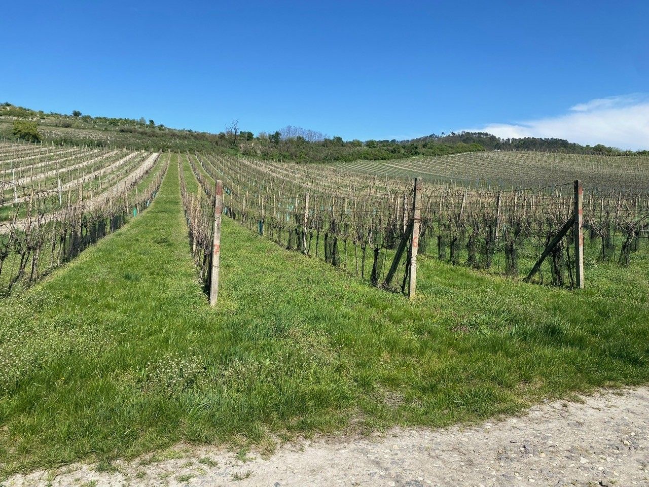 Pozemek · 4 809 m² · Nová 1, Mikulov - 4