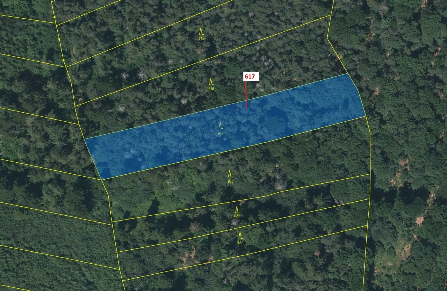 Lesy, Budětice, okres Klatovy, Plzeňský kraj - 2