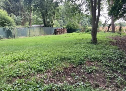 Zahrada