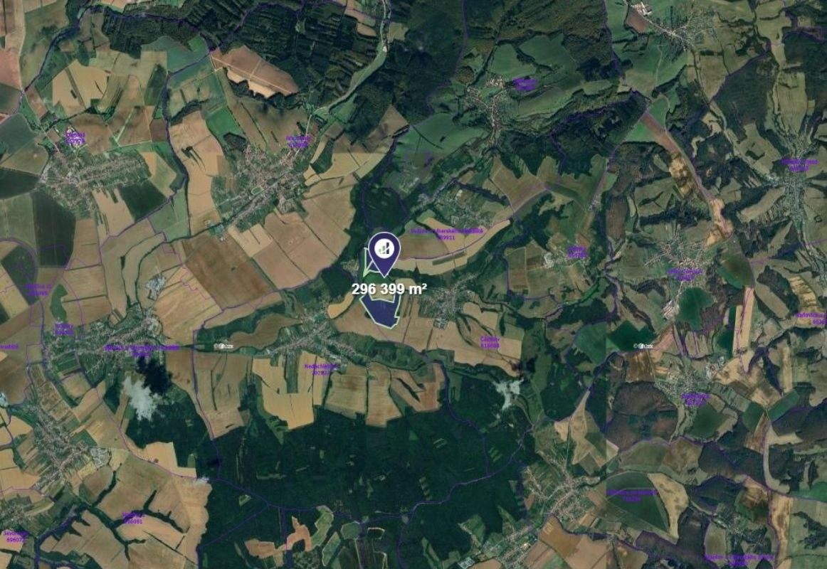 Prodej les - Částkov - 2