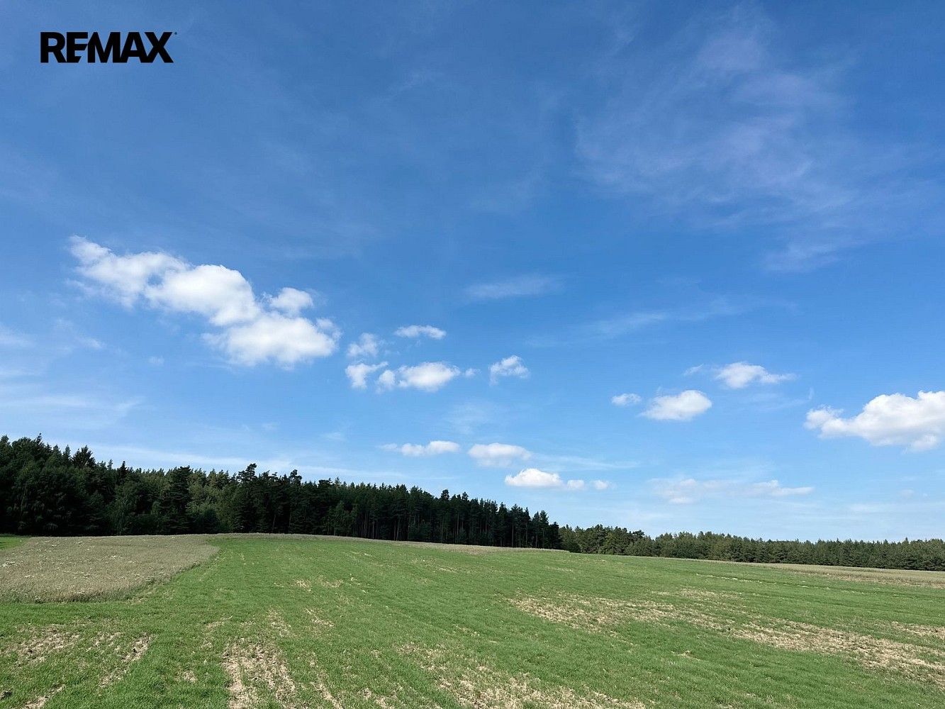 Les · Dlouhý Újezd, okres Tachov, Plzeňský kraj - 3