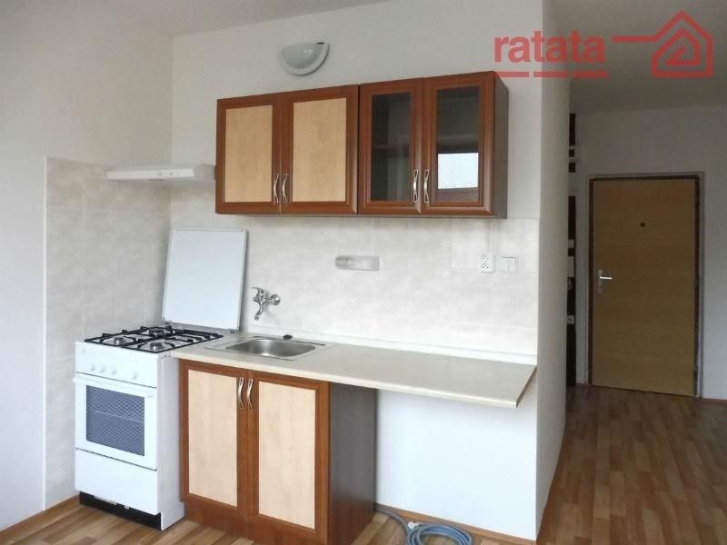 Pronájem byt 1+1 - Smetanovy sady, Jirkov, 39 m²