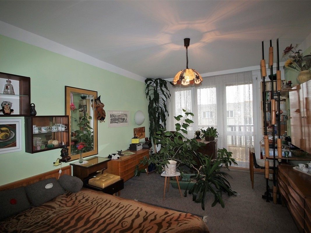 Pronájem byt 2+1 - Jírovcova, České Budějovice, 65 m²