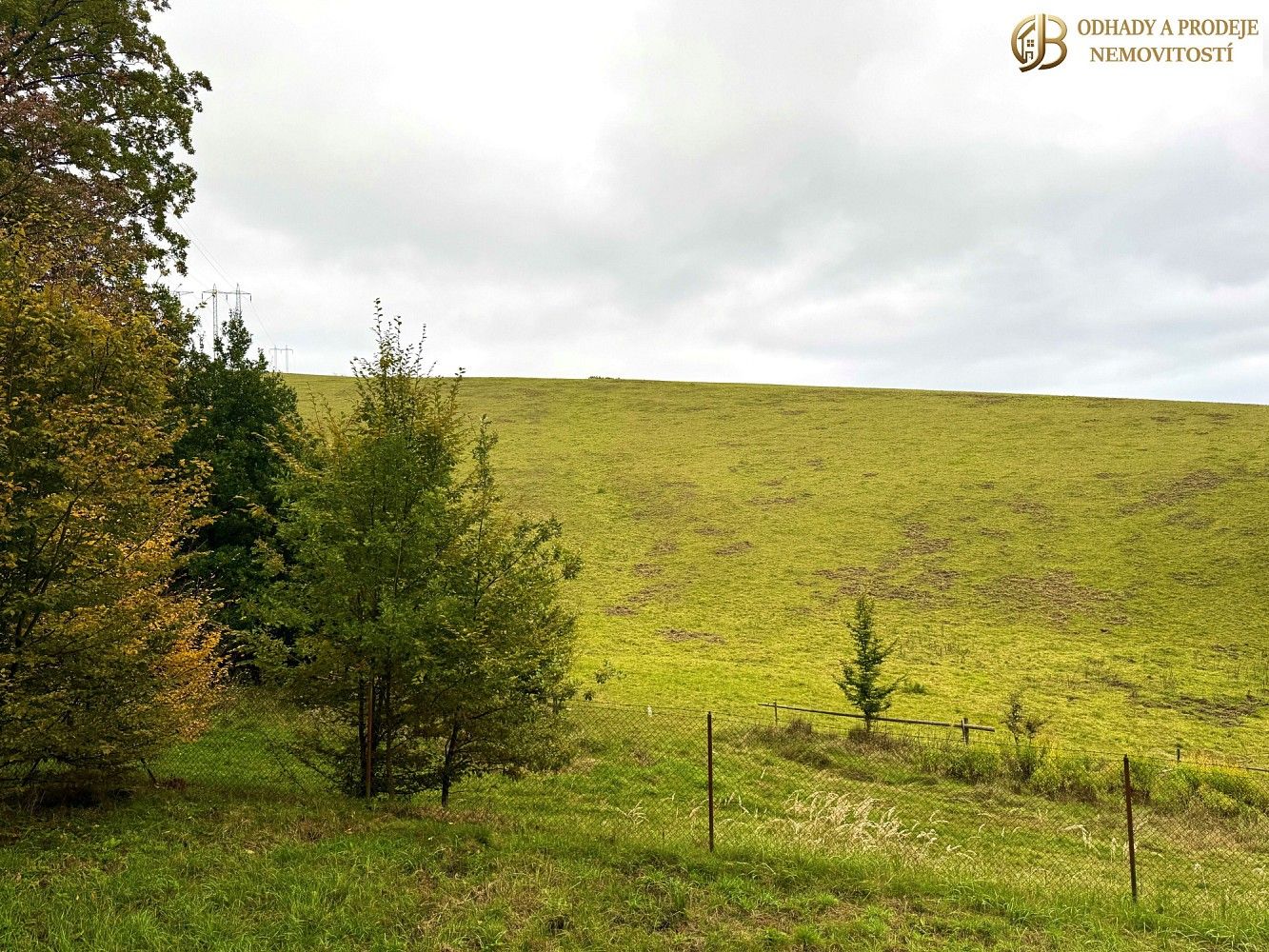 Prodej louka - Dlouhomilov, okres Šumperk - 5