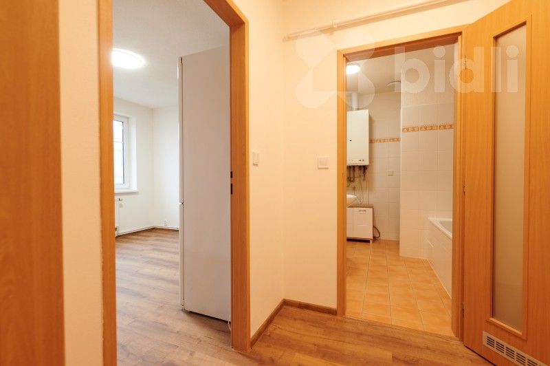 Prodej byt 1+1 - Revoluční, Nýřany, 47 m²