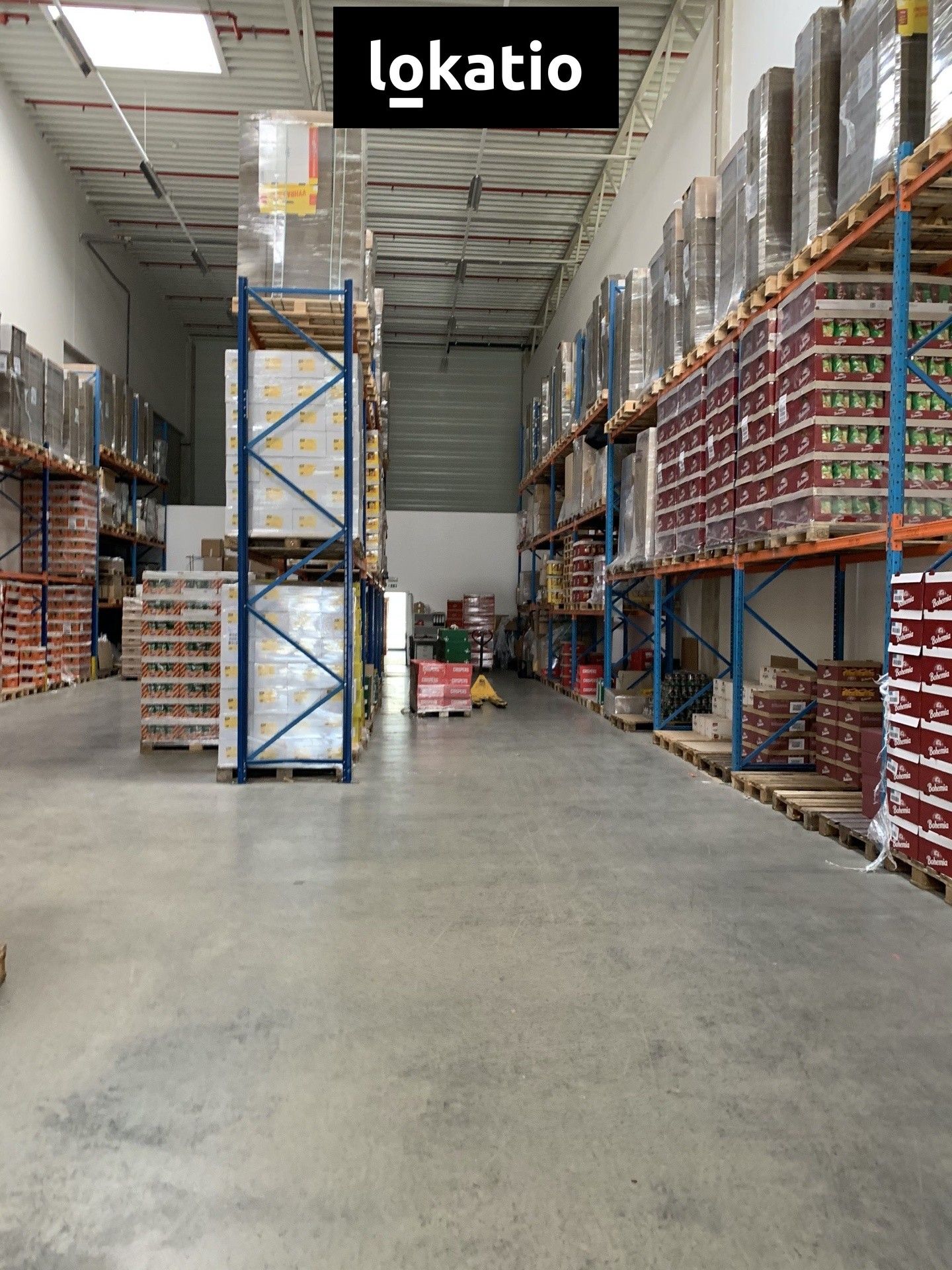 Pronájem sklad - Za Tratí, Chrášťany, 4 100 m² - 5