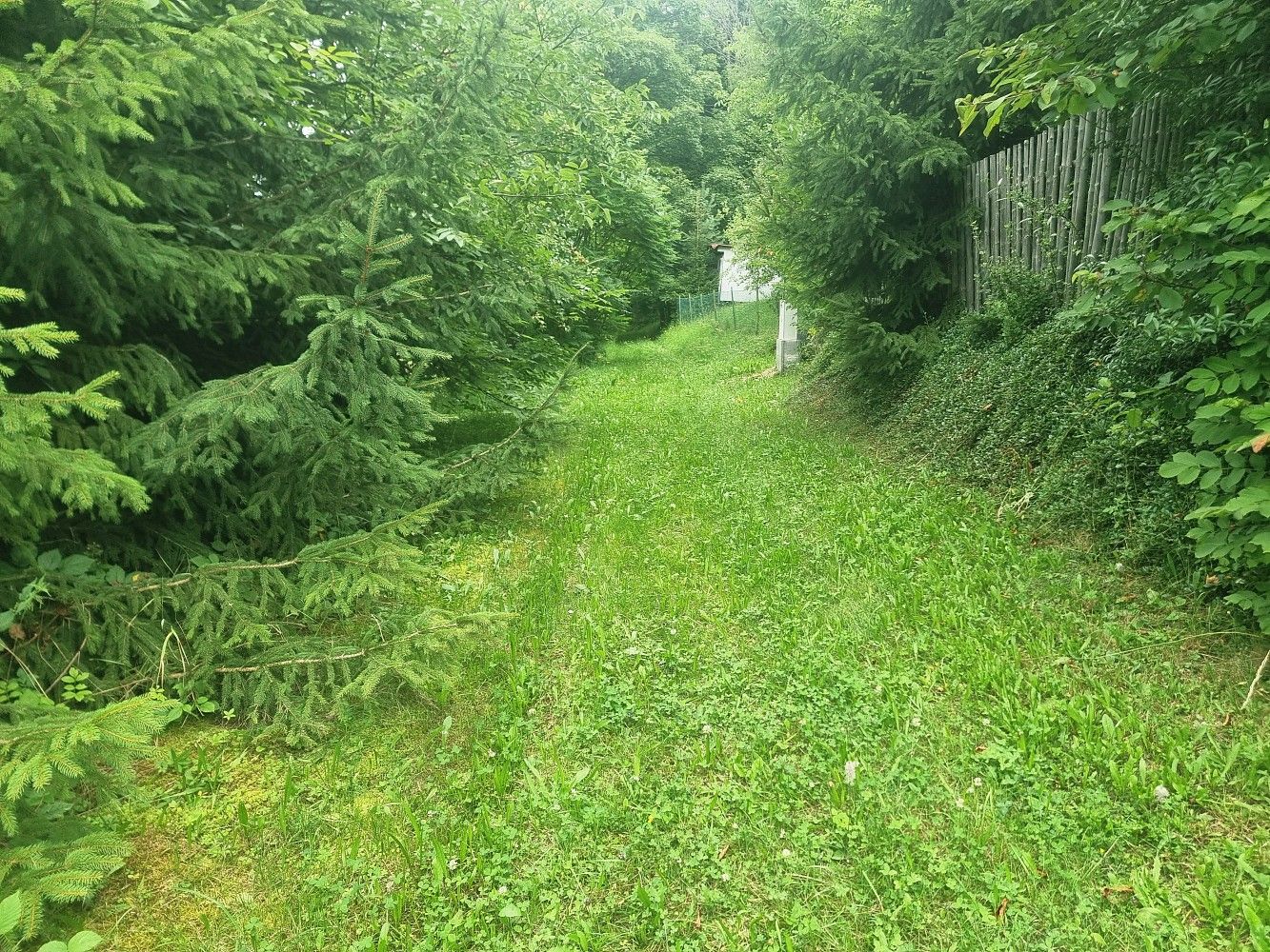 Chalupy, Kamenná Horka, okres Svitavy, 78 m² - 2