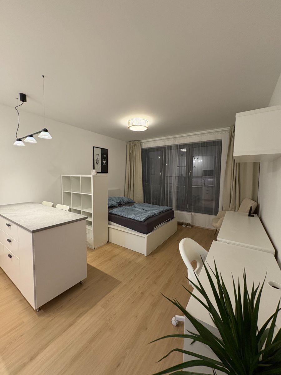 1+kk, Železná, Plzeň - Plzeň, Plzeňský kraj, 31 m² - 1