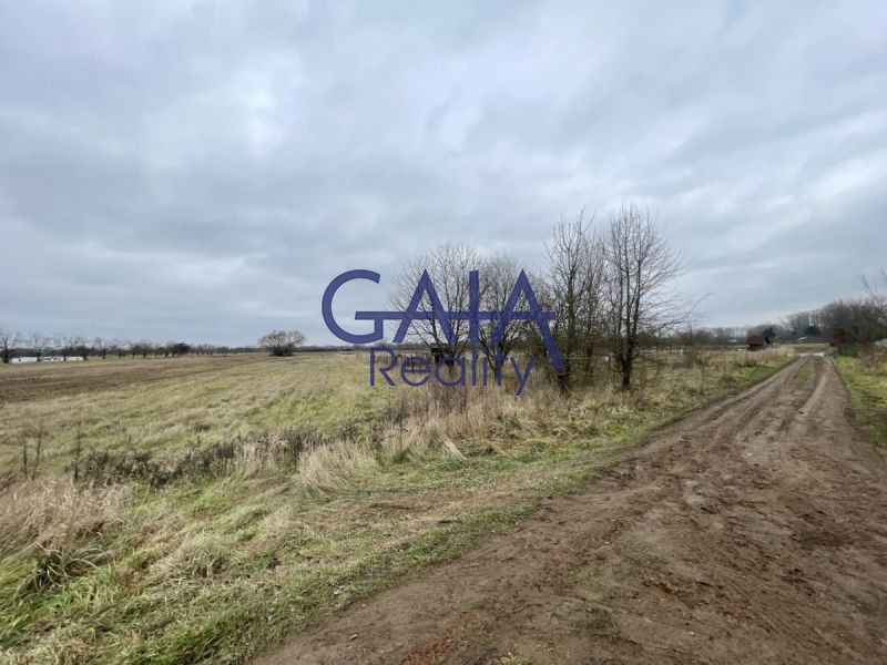 Prodej zemědělský pozemek - Veselí nad Moravou - 5