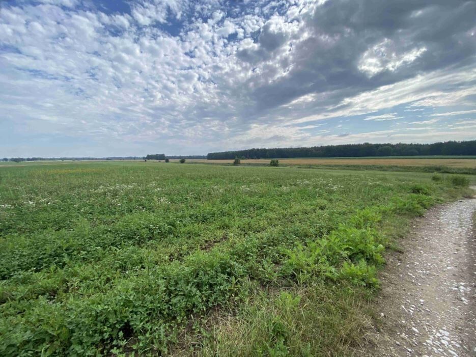 Zemědělské pozemky, Lomnice nad Lužnicí, 16 m²