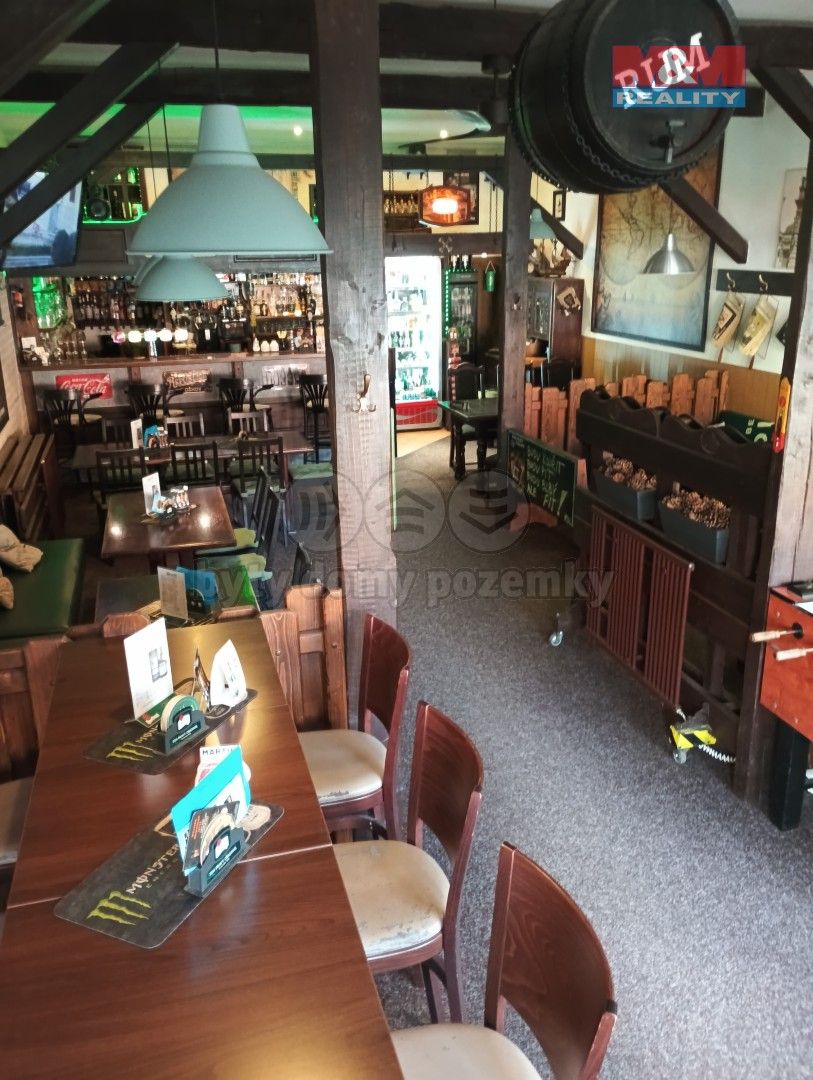 Restaurace, Žežická, Příbram, 300 m²
