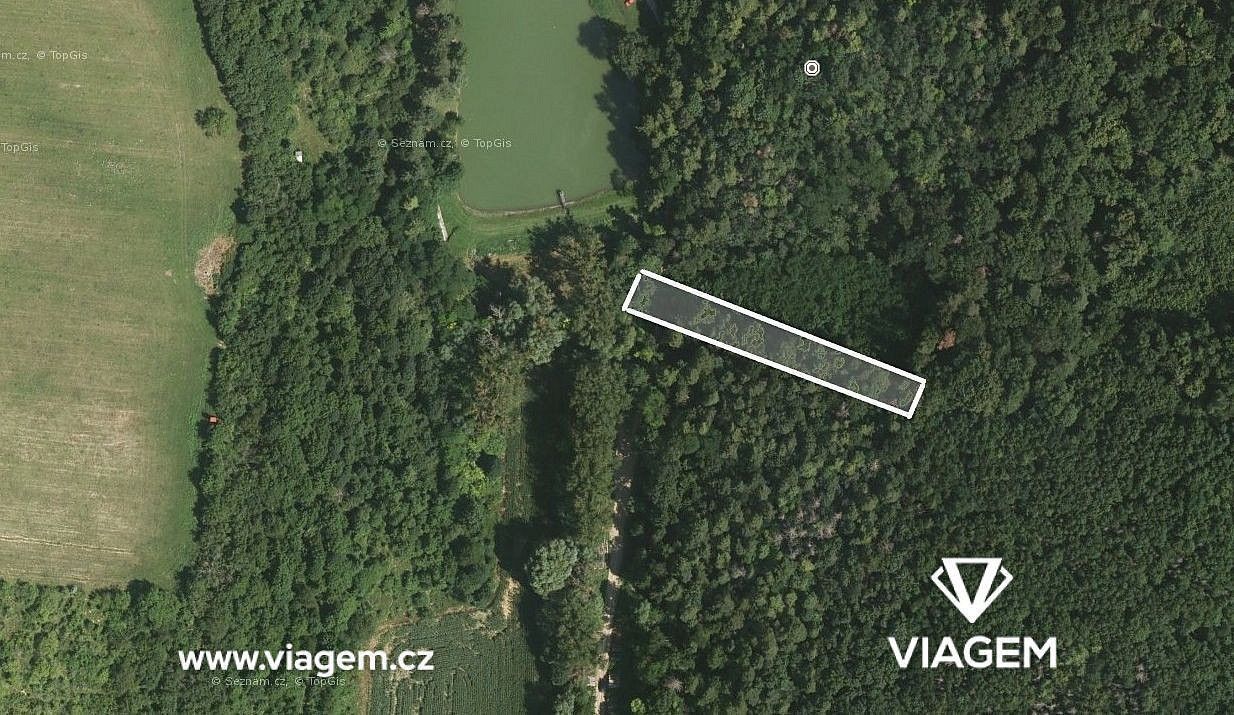 Prodej les - Žarošice, okres Hodonín, Jihomoravský kraj - 2
