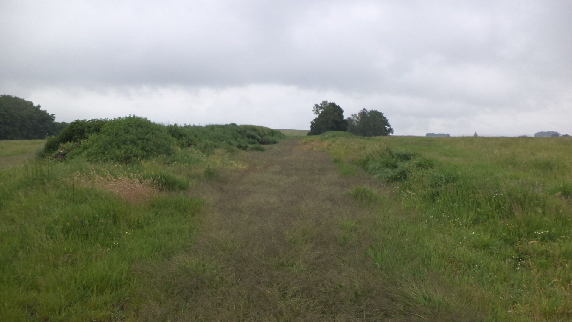 Prodej zemědělský pozemek - Jablonné v Podještědí, 4 m²