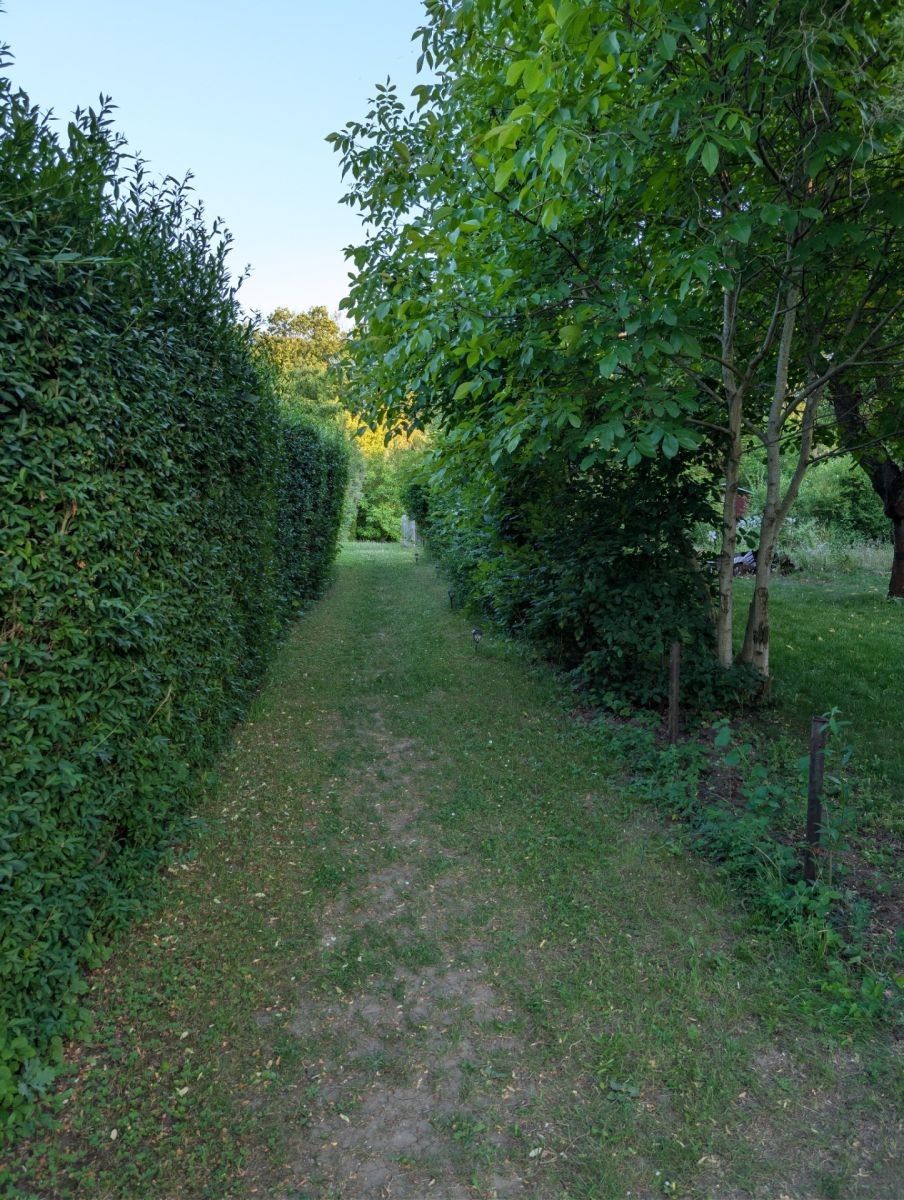 Chaty, Rousínovská, Praha - Vinoř, 20 m² - 1