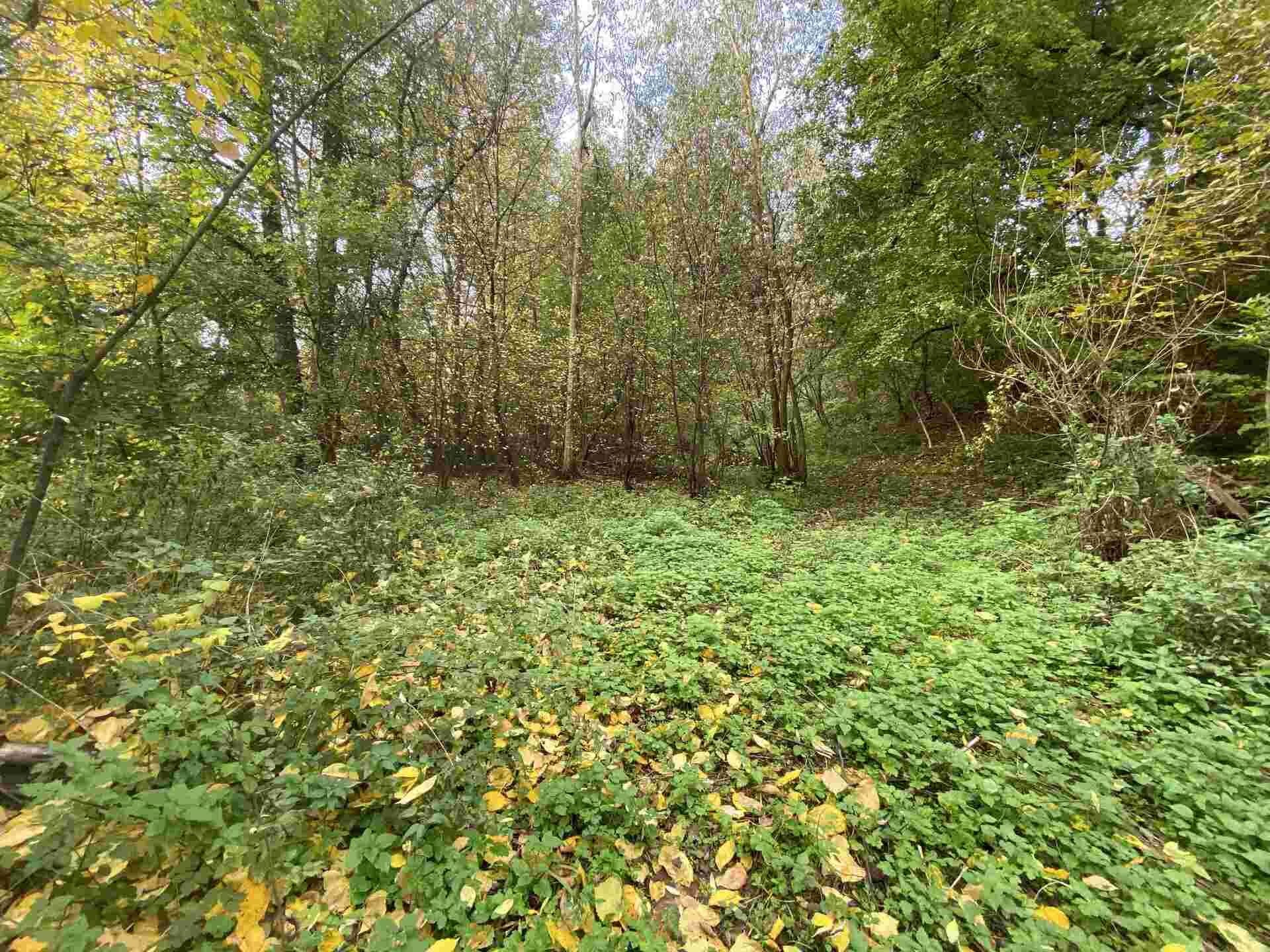 Pozemek · 1 003 m² · Svijany - 3