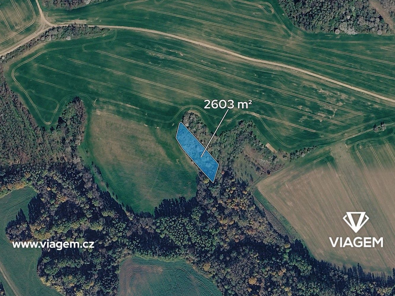 Prodej les - Jalubí, okres Uherské Hradiště, Zlínský kraj - 2