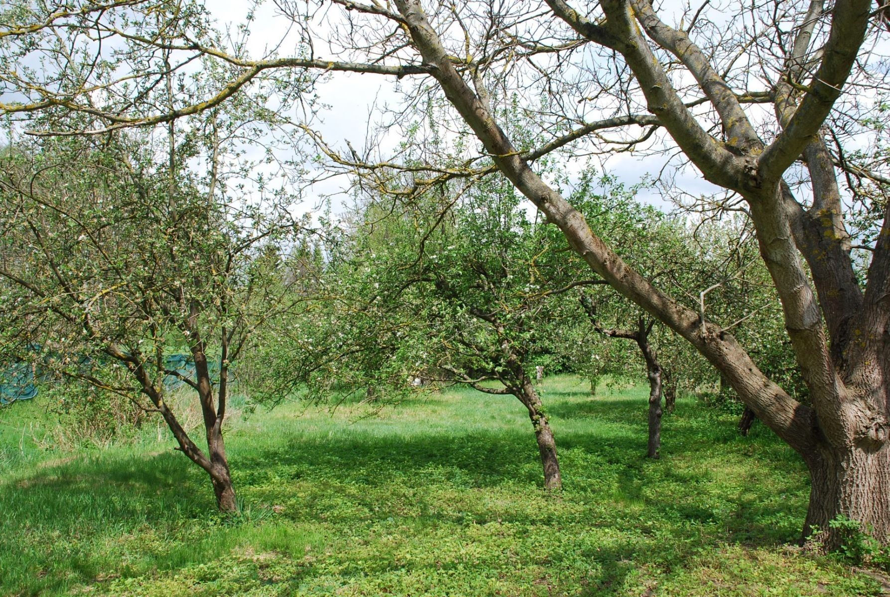 Pozemky pro bydlení, Sedlec-Prčice - Měšetice, Středočeský kraj - 2