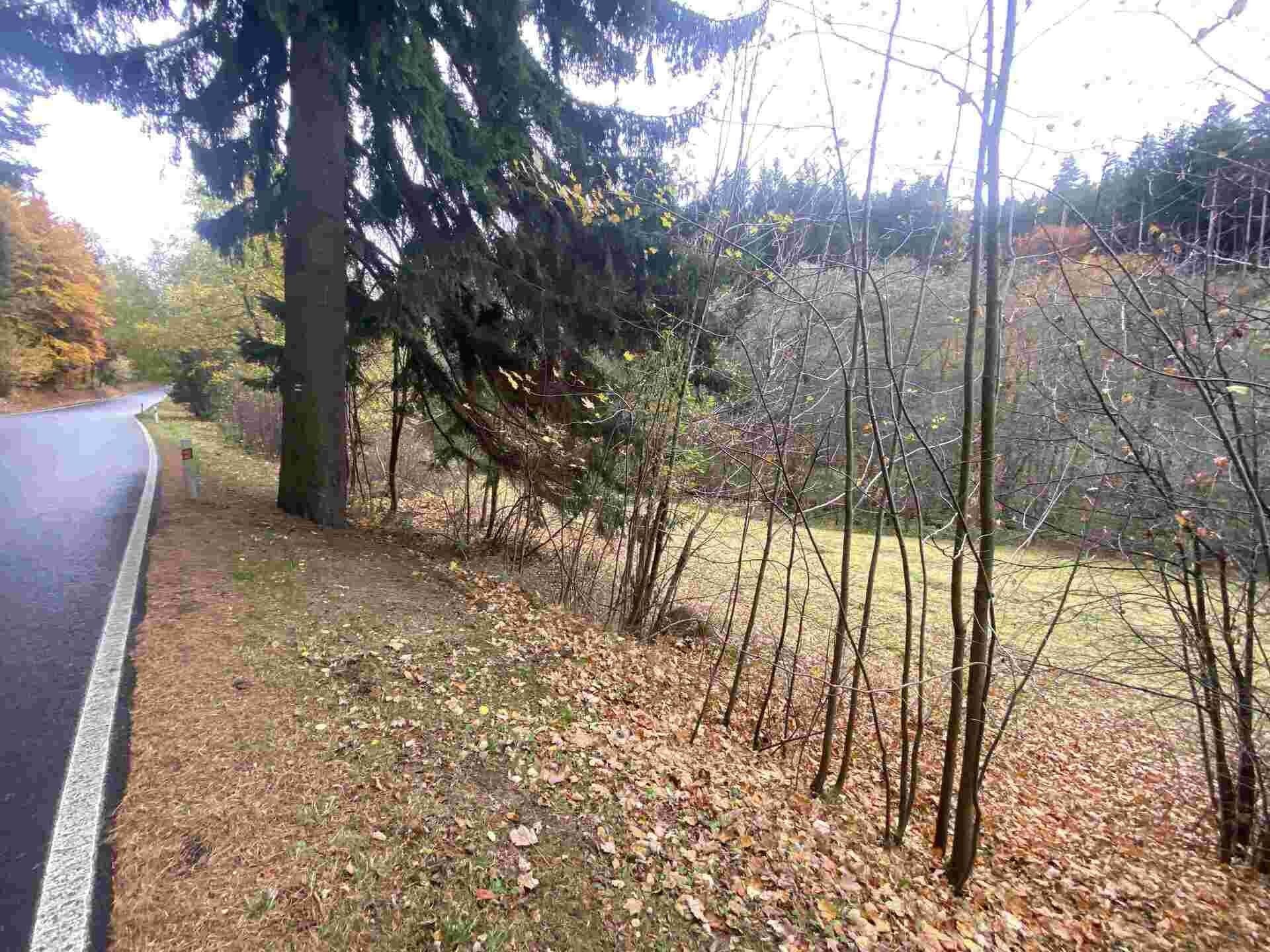 Prodej pozemek - Hartmanice, 1 m²