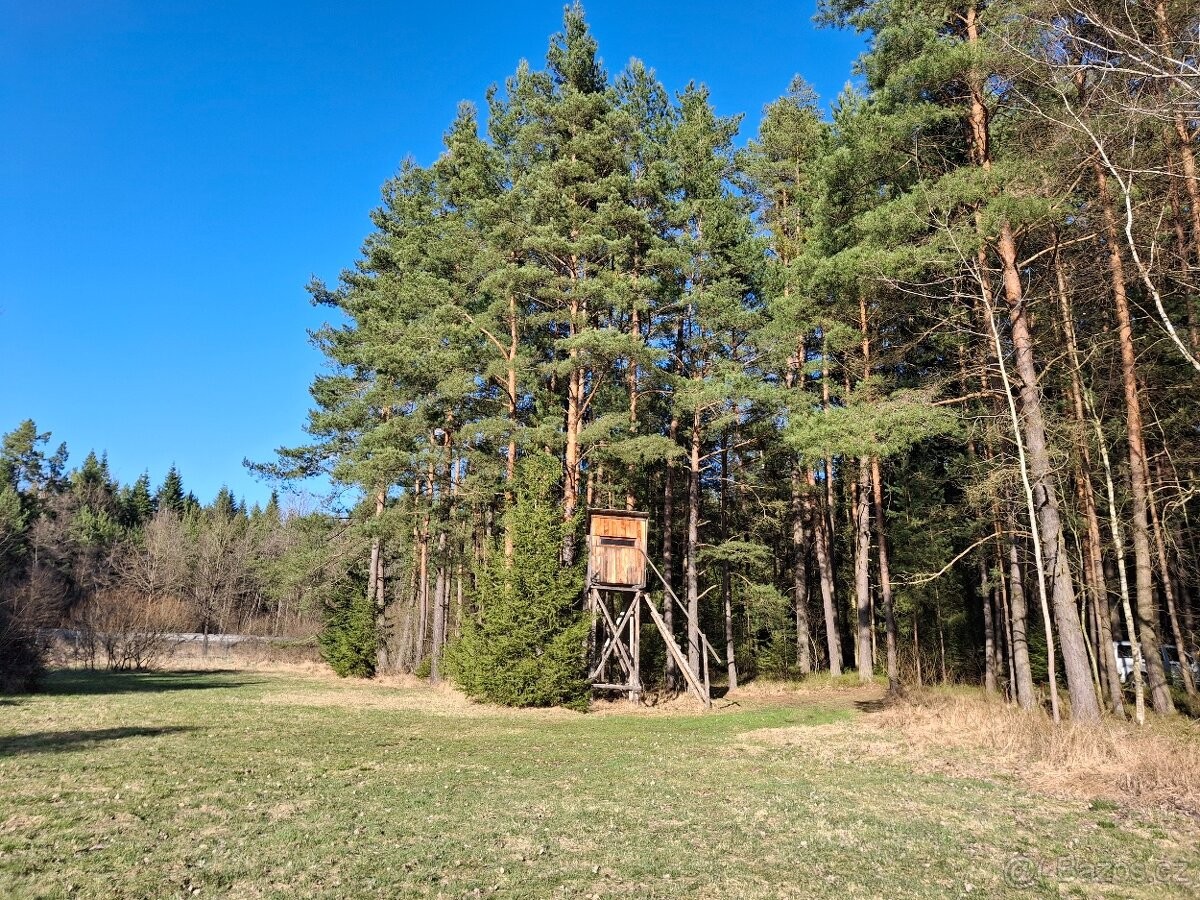 Prodej pozemek pro bydlení - Jílovice u Trhových Svin, 373 32 - 5