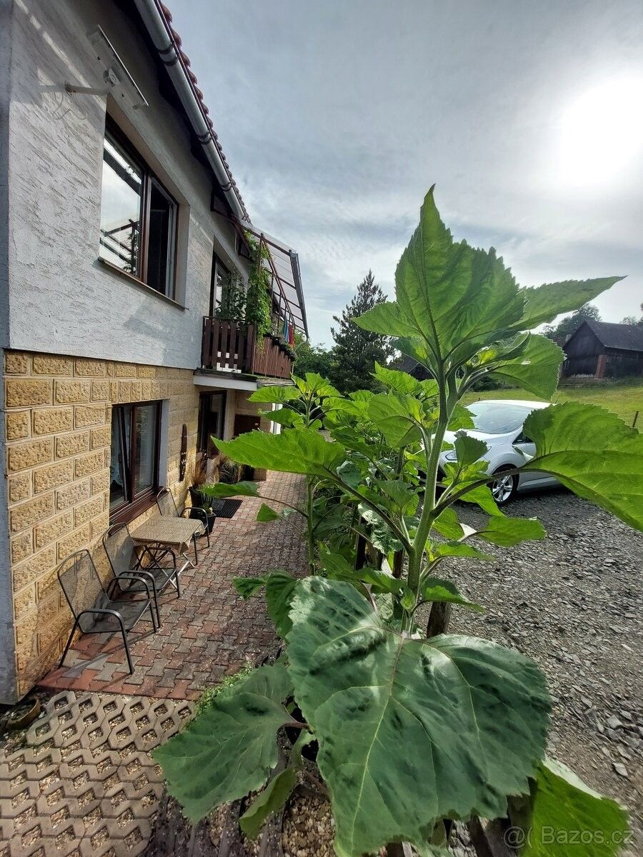 Rodinné domy, Pecka, 507 82