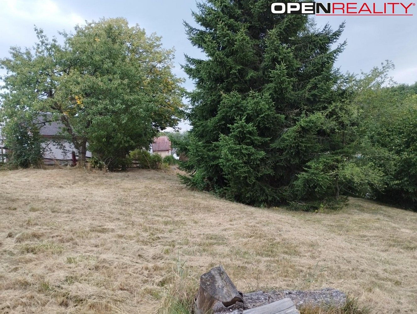 Pozemek pro bydlení · Divišov - Dalovy, okres Benešov, Středočeský kraj - 4