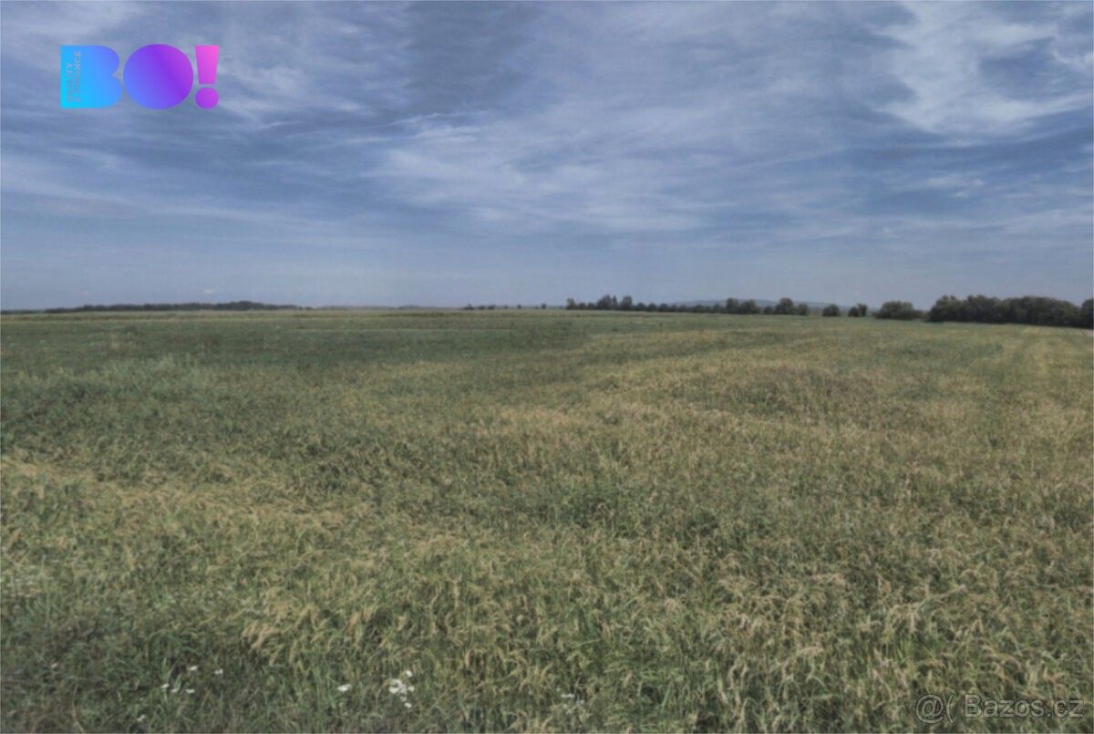 Prodej pozemek pro bydlení - Přibice, 691 24