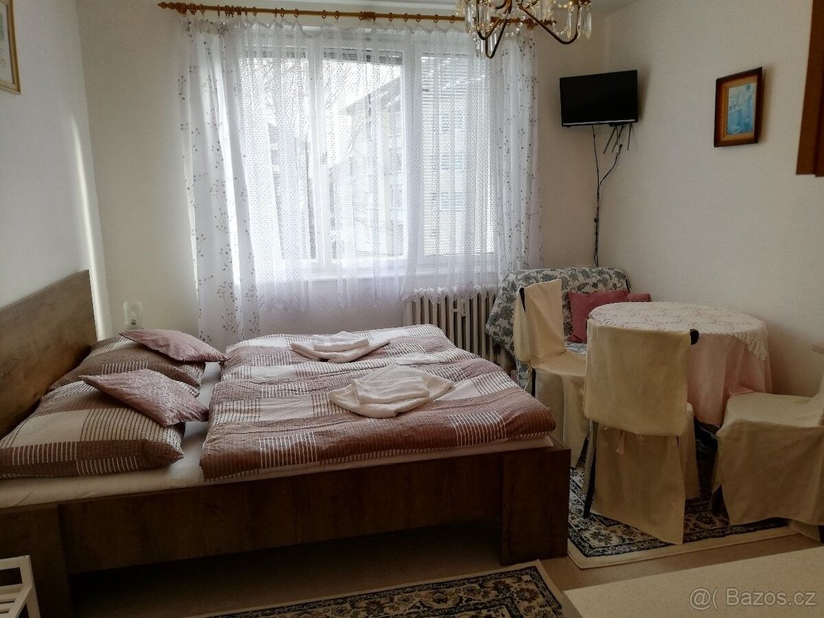 Pronájem byt - Mariánské Lázně, 353 01