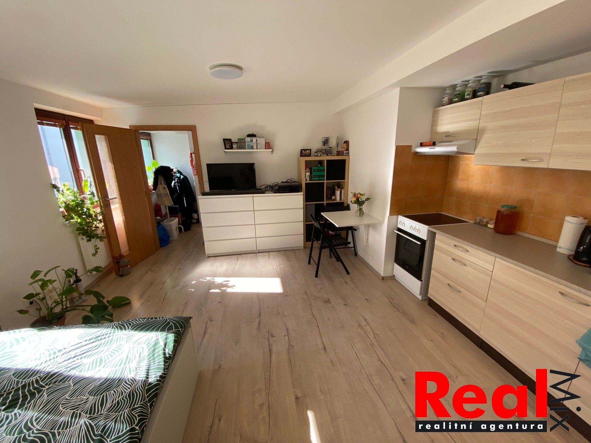 1+kk, Smetanova 342, Brno Veveří, 30 m² - 2
