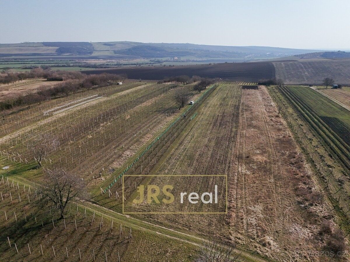 Prodej pozemek pro bydlení - Brumovice na Moravě, 691 11 - 5