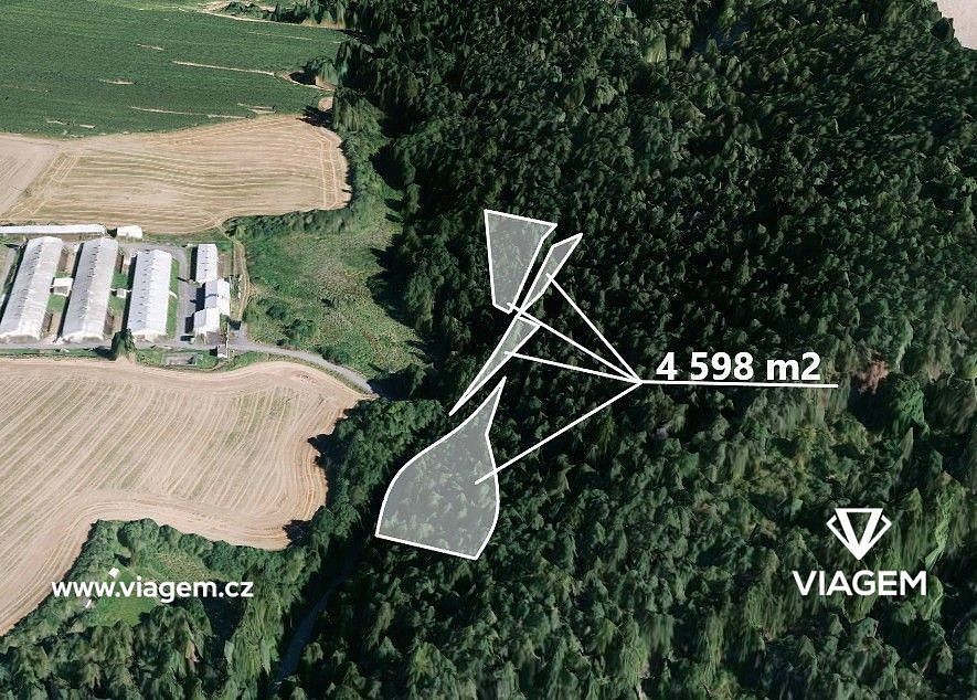 Prodej les - Manětín, okres Plzeň-sever, Plzeňský kraj - 1