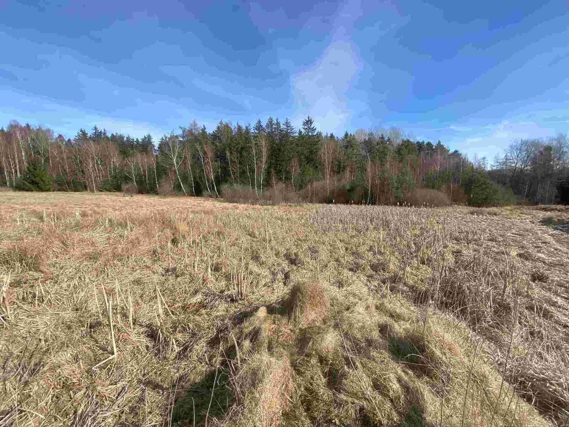 Zemědělský pozemek · 15 408 m² · Františkovy Lázně - 4