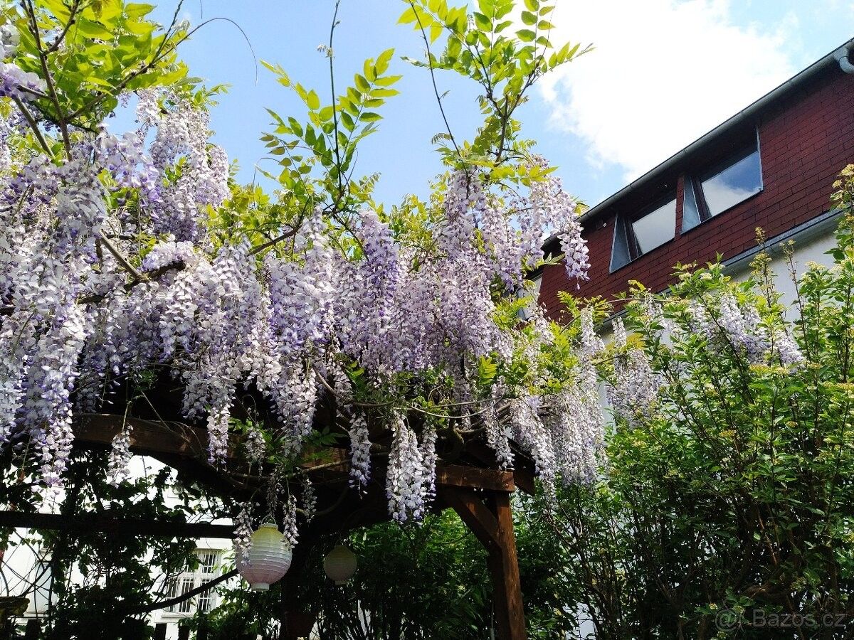 Pronájem byt - Děčín, 405 02