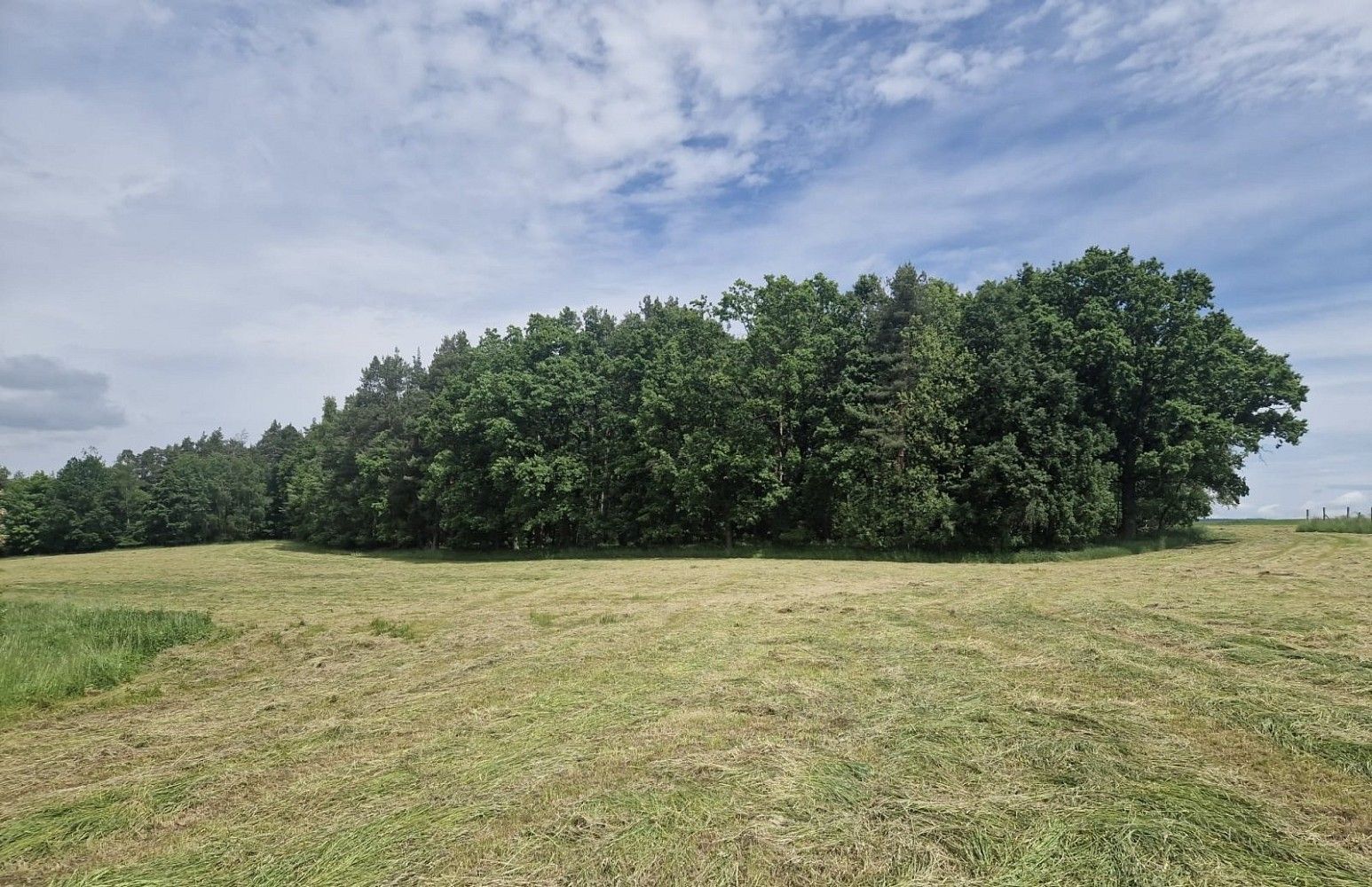 Lesy, Paceřice, okres Liberec, Liberecký kraj - 1