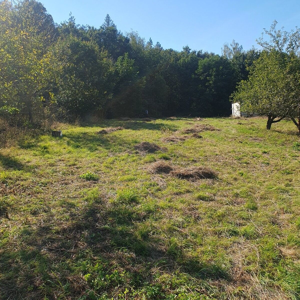 Pozemky pro bydlení, Louny, 440 01 - 2