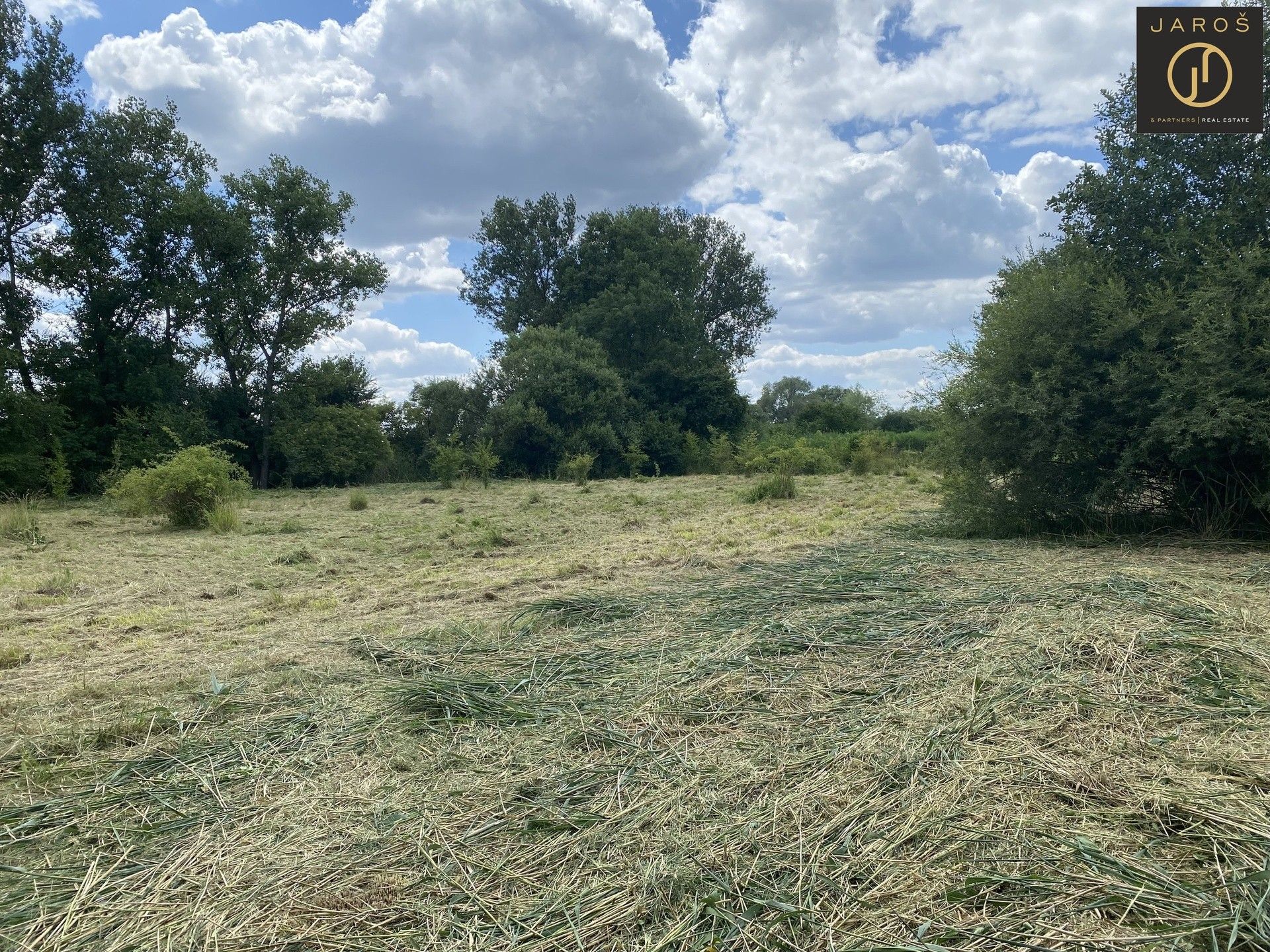 Prodej louka - Tachlovice