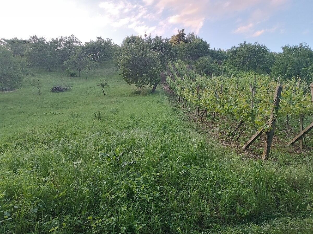 Pozemky pro bydlení, Křepice u Hustopečí, 691 65