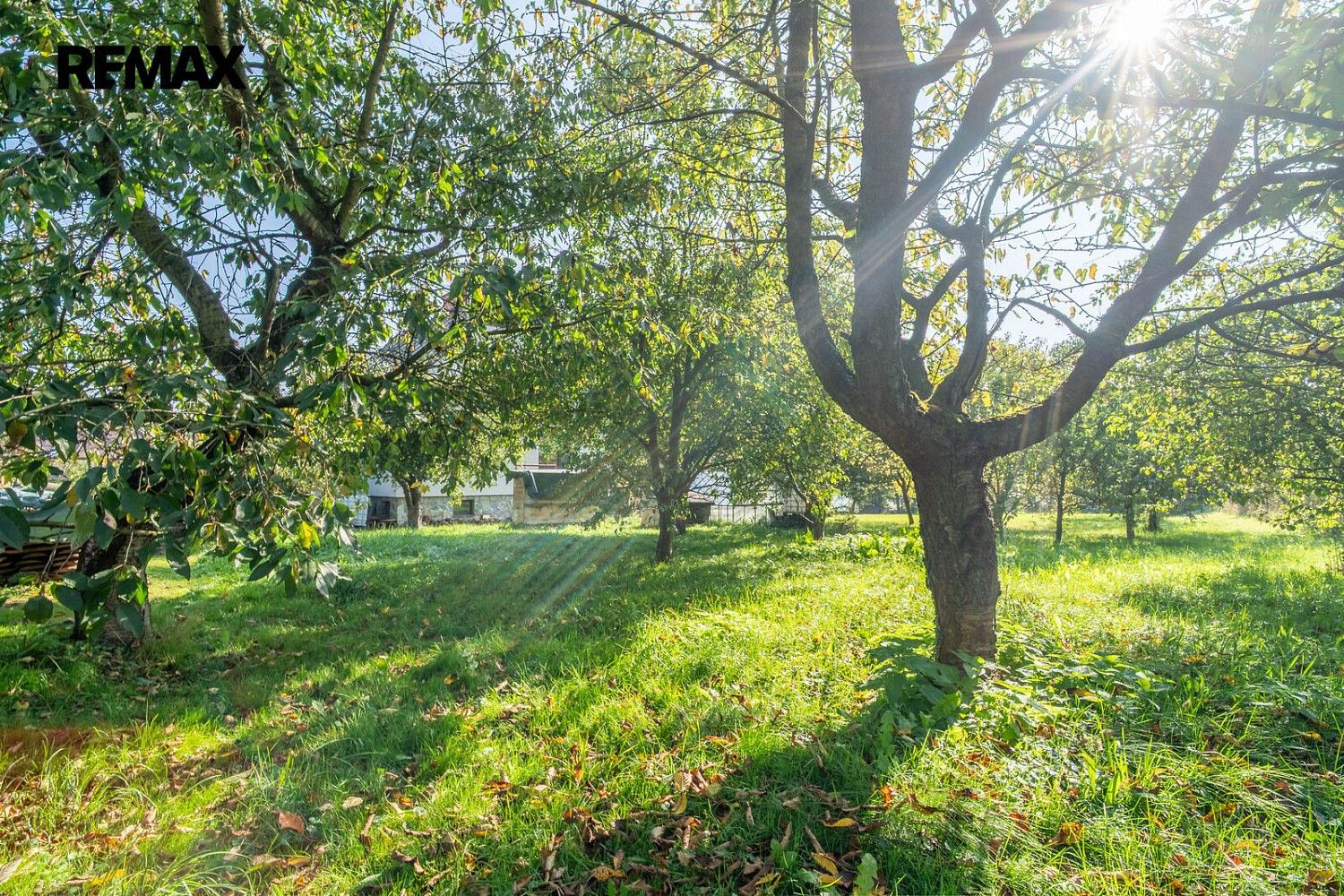 Rodinný dům · 212 m² · Roztoky u Jilemnice, okres Semily - 4